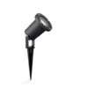 Philips Tuinspies Puled Zwart 5W 1 Philips Tuinspies Puled Zwart 5W -Huishoudelijke Artikelen Korting 123 1104