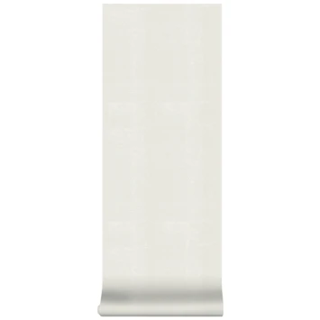 Superfresco Easy Vliesbehang Stuckorrel Wit 103997 6 Superfresco Easy Vliesbehang Stuckorrel Wit 103997 - Afbeelding 5